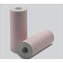 Lifepak Defibrillator Recording Paper 10cm x 22mm Box 2