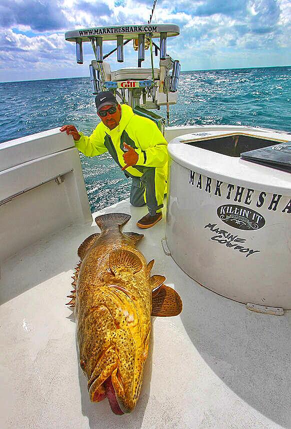 Stormline Milford 249 Fishing Jacket - Image 2