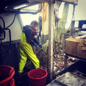 Stormline Milford 681 Bib Overtrouser